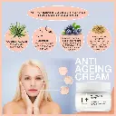 N_Plus_Professional_Anti Ageing Cream_50Gm_01.webp